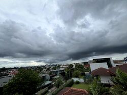 Raffles Park (D11), Detached #453038821